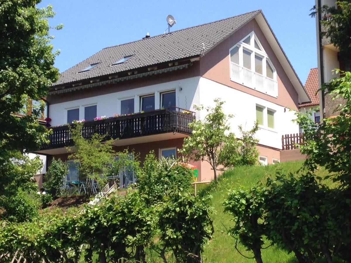 Haus Talblick Apartment Freudenstadt Exterior photo